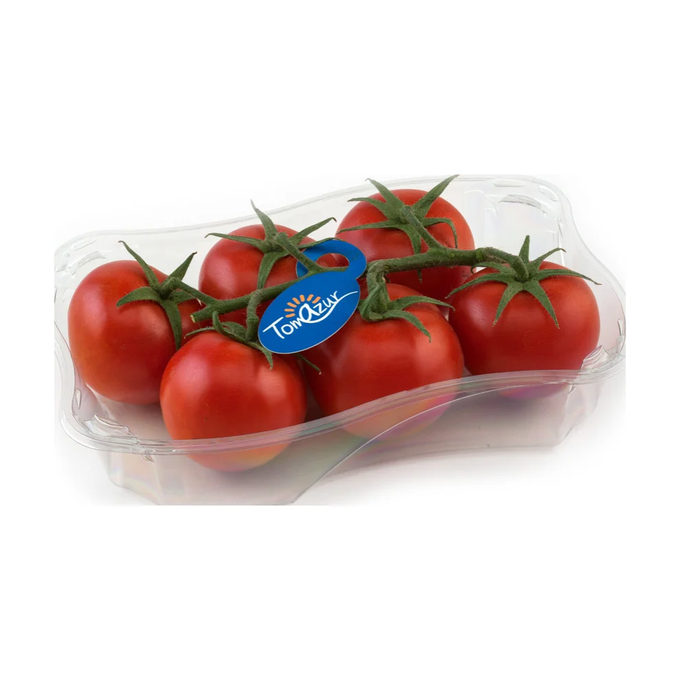 Tomate en rama TomAzur 2 kg